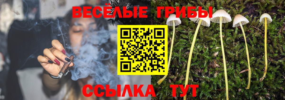 Псилоцибиновые грибы Cubensis  Псилоцибиновые грибы ЛСД  Чернушка  Вход с VPN 